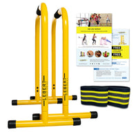 Lebert EQUALIZER Dip Bars and Resistance Bar + Bands
